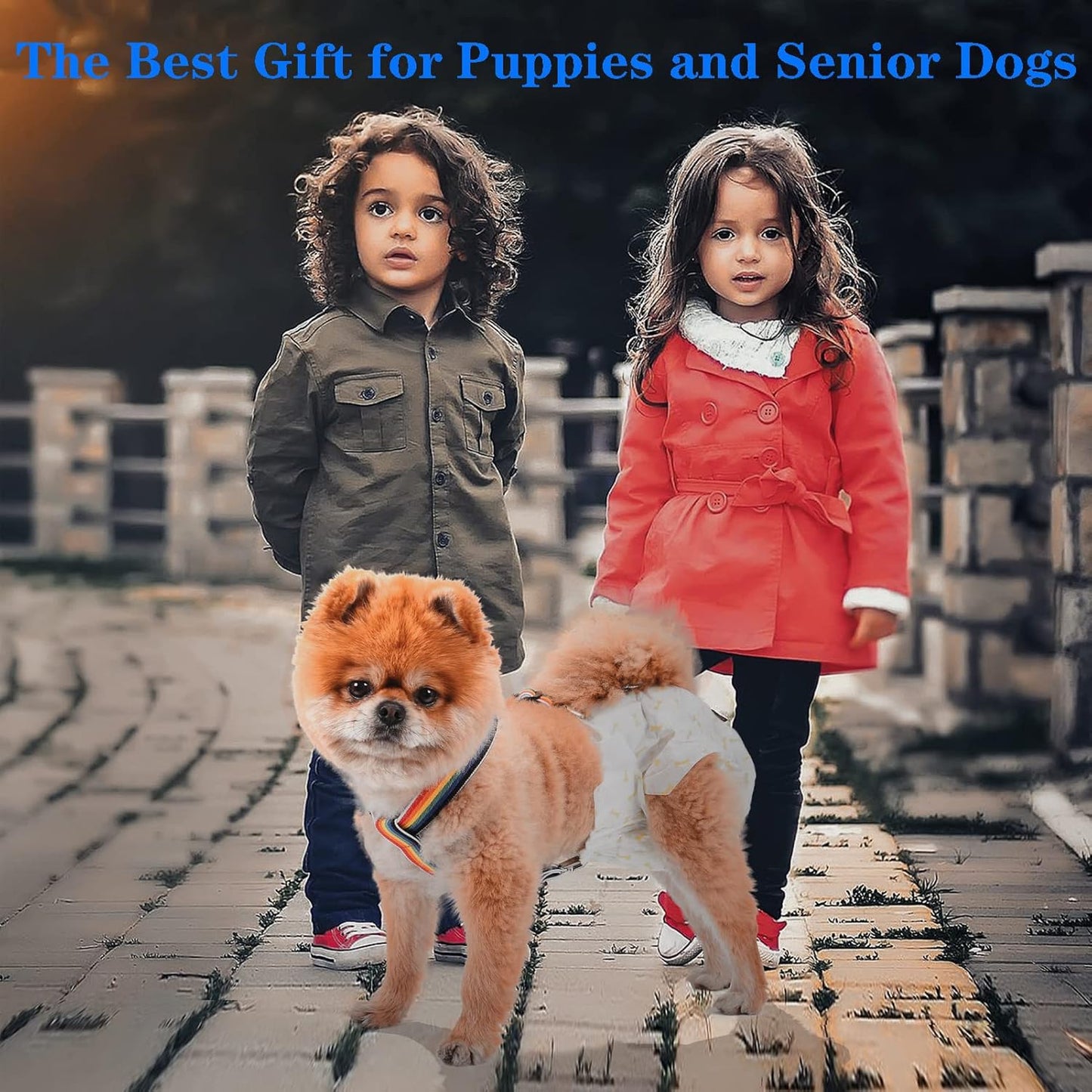 2 Pieces Dog Diaper Suspenders | Adjustable Elasticity Cat Suspenders | Belly Bands Canine Harness | Female Male Puppy Dress & Diaper Keeper
