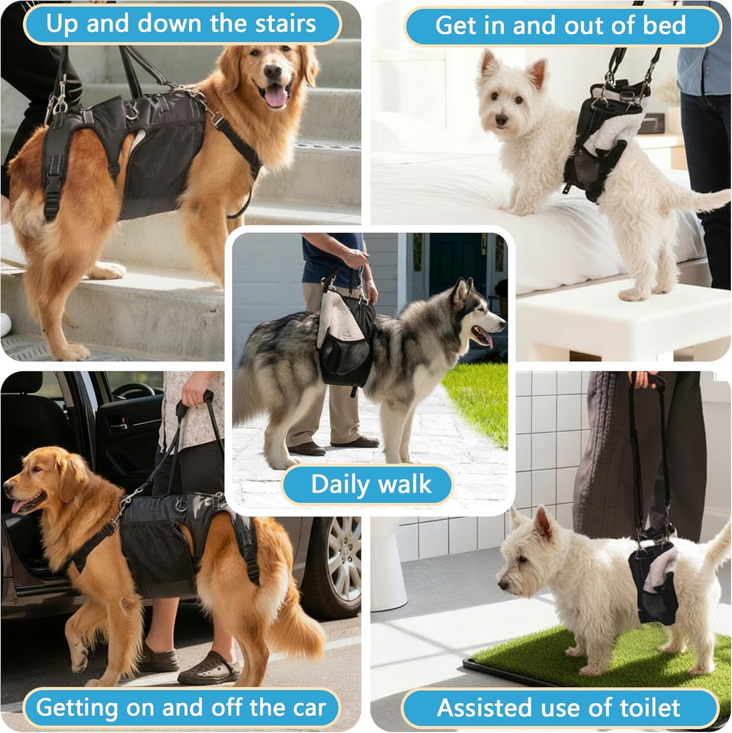 Dual-use Dog Lift Rehab Hareness Canine Sling for Large Pooch Rear Legs and Hip Support,Adjustable and Soft Brace Strap for After ACL Surgery, Helps Senior, Injured and Disabled K9.