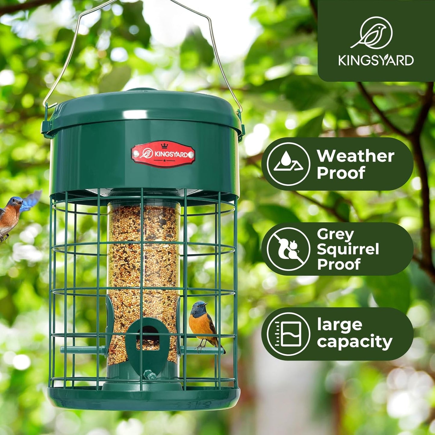 Kingsyard Upgraded Squirrel Proof Caged Bird Feeder for Outdoor Hanging - Additional Storage Tube Bird Feeder with 4 Feeding Ports & Perches, Easy to Clean & Refill. Green