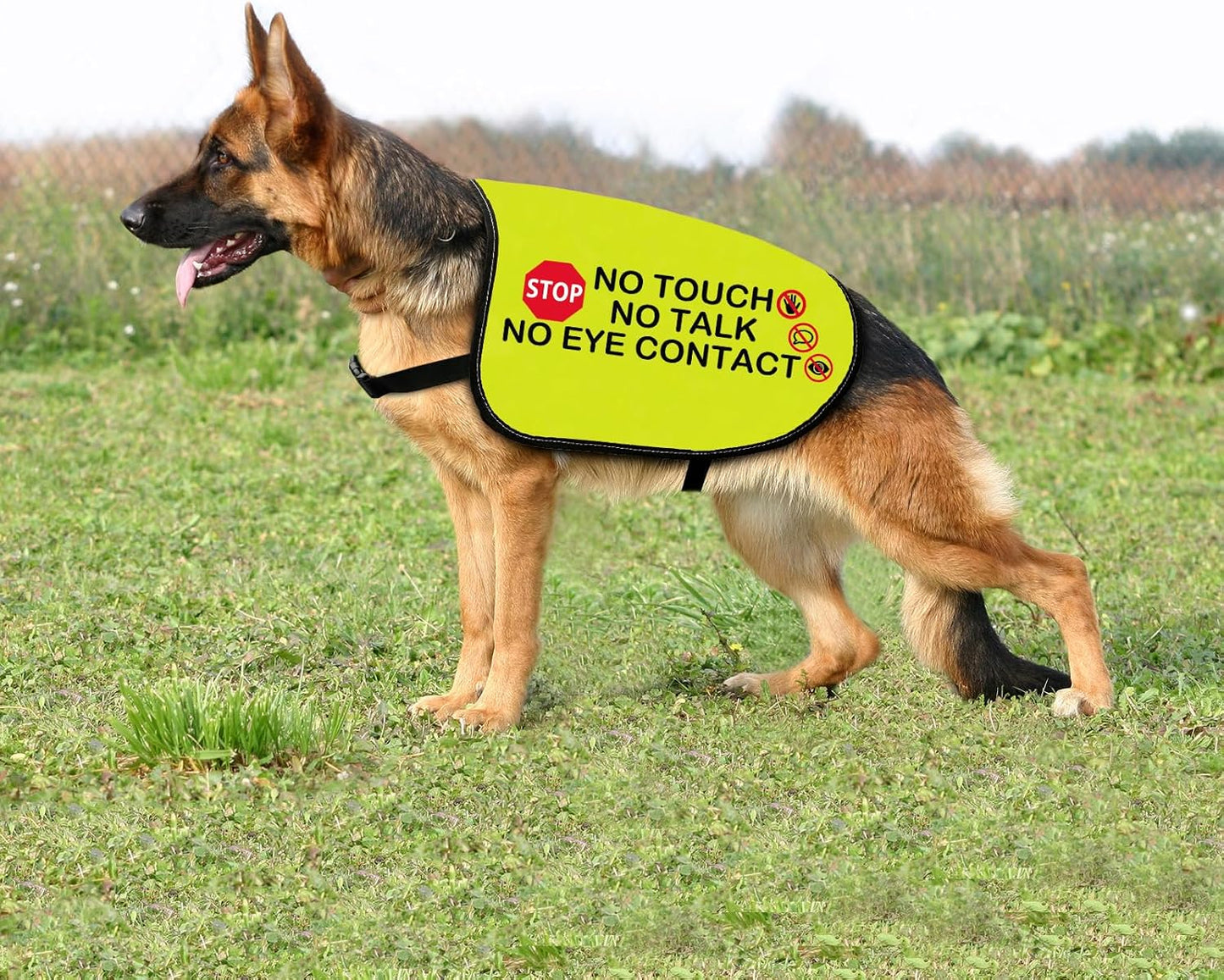 Funny Dog Jacket Vest No Touch No Talk No Eye Contact Dog Slogan Vest Social Distancing Gift (No Eye Contact-Medium)