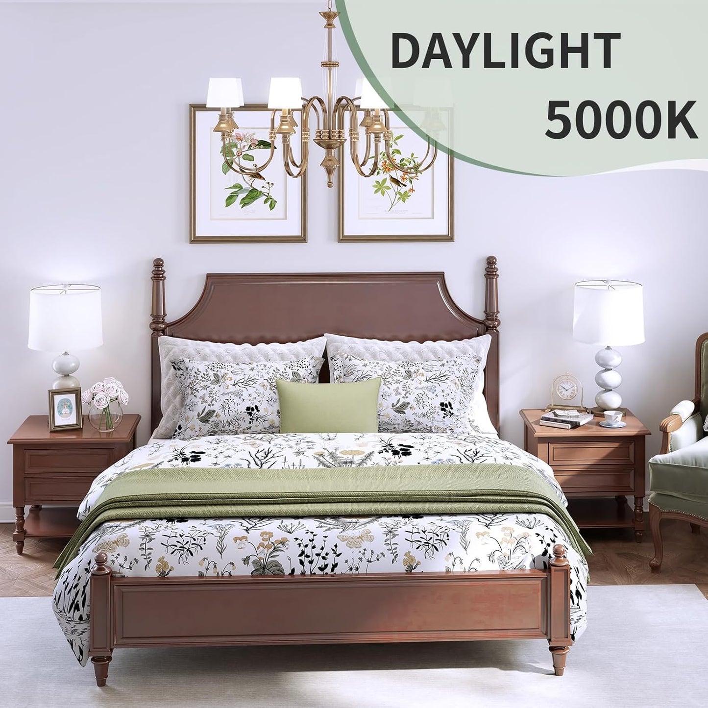 6-Pack A19 LED Light Bulbs,60 Watt Equivalent Daylight 5000K with E26 Base,Efficient 9W,800 Lumens Non-Dimmable LED Bulbs,15000 Hours, Ideal for Bedroom Living Room
