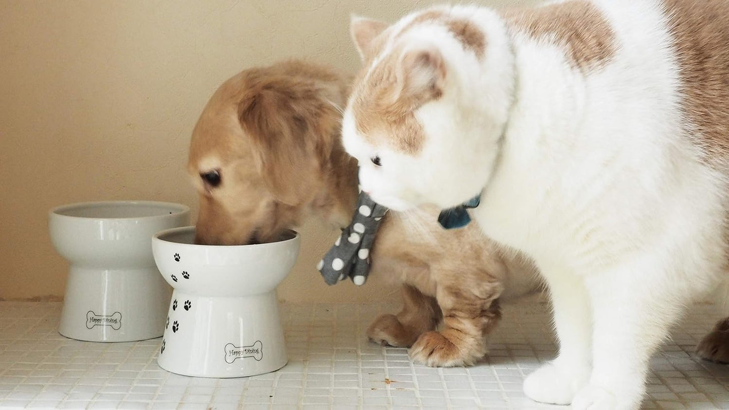 Necoichi Raised Dog Water Bowl, Elevated, for dogs and cats, pets feeding feeder Non-slip for small dogs Dishwasher and Microwave Safe, No.1 Seller in Japan! (Dog, Water Bowl)