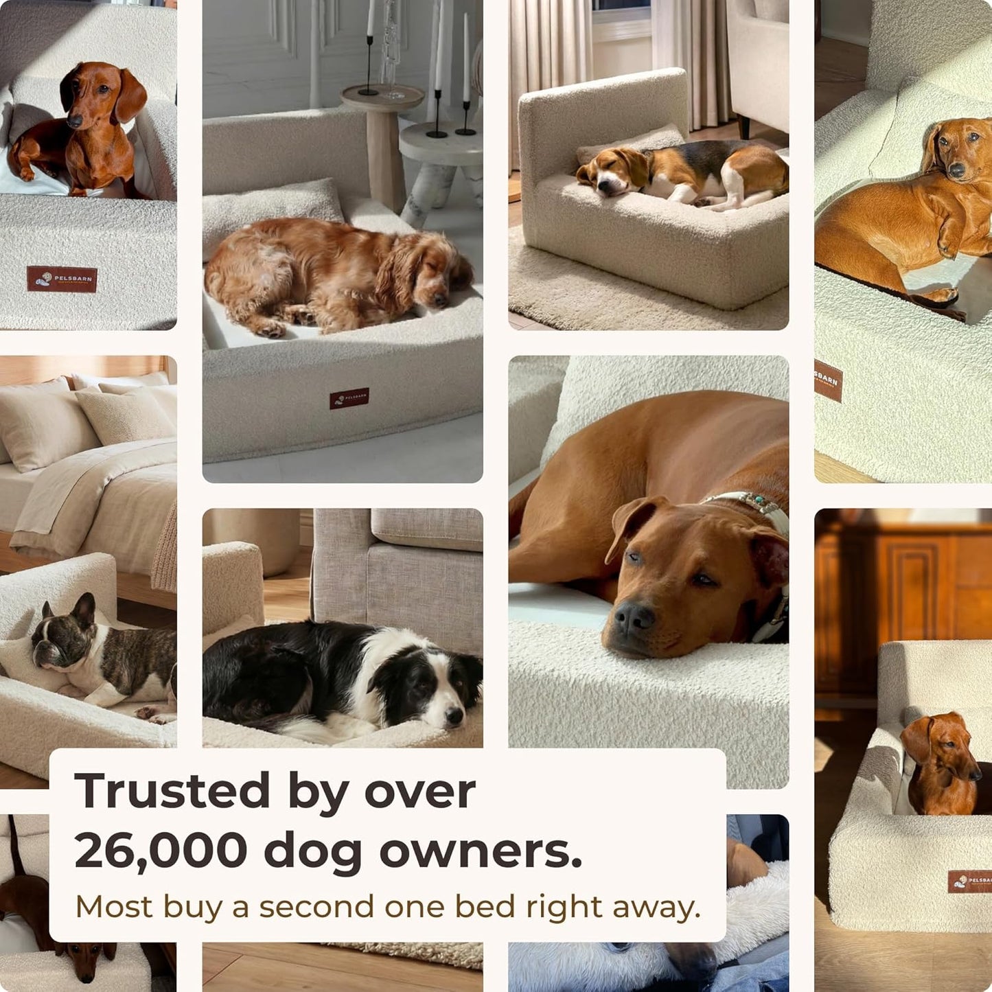 Pelsbarn Real Orthopedic Dog Bed, High-Density Memory Foam with Waterproof Fitted Sheets - Machine Washable, Small, Beige