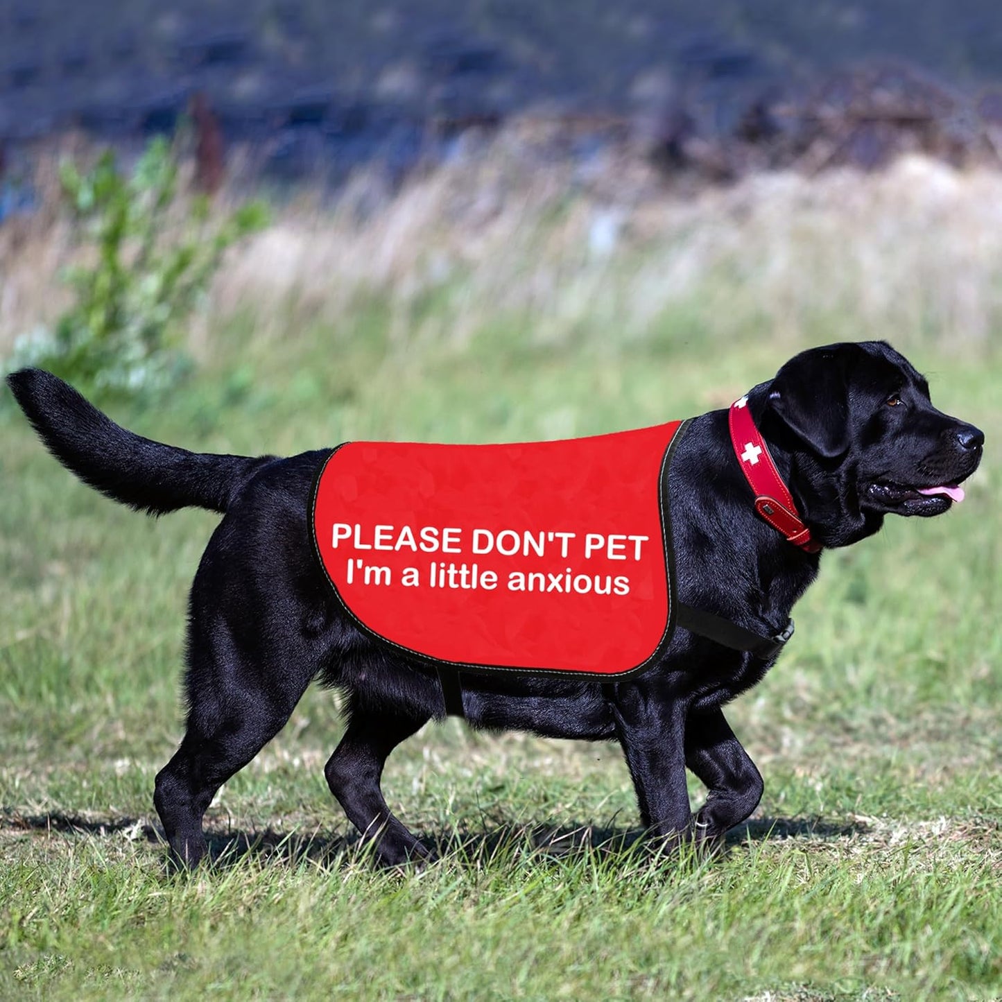 HOLLP Anxious Dog Jacket 'PLEASE DON'T PET I'm A Little Anxious' Red Christmas Dog Gift (Little Anxious-Large)