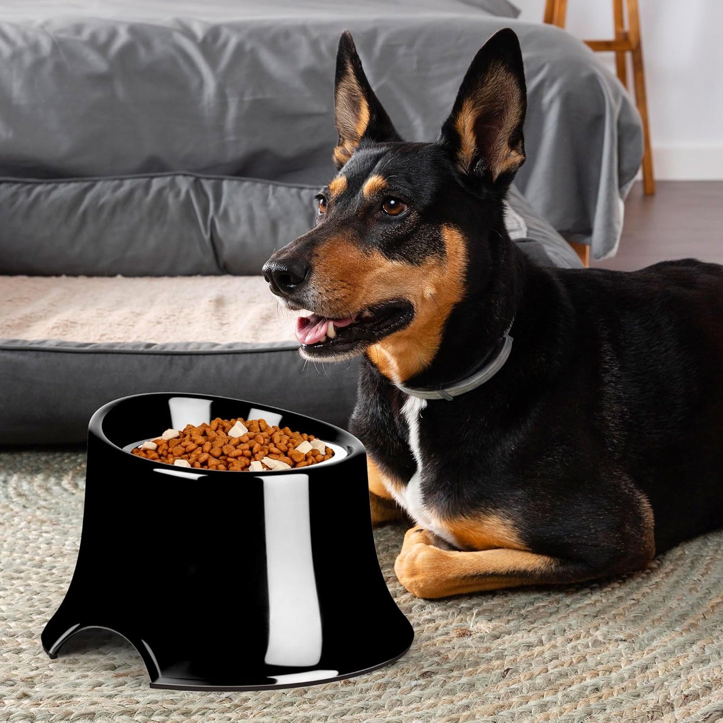 Tilted Elevated Dog Bowls Non-Slip & Non-Spill Pet Feeder with Elevated Detachable Melamine Stand, High Capacity Tilted Dog Bowl for Medium Small Size Dogs M/2 Cup Black