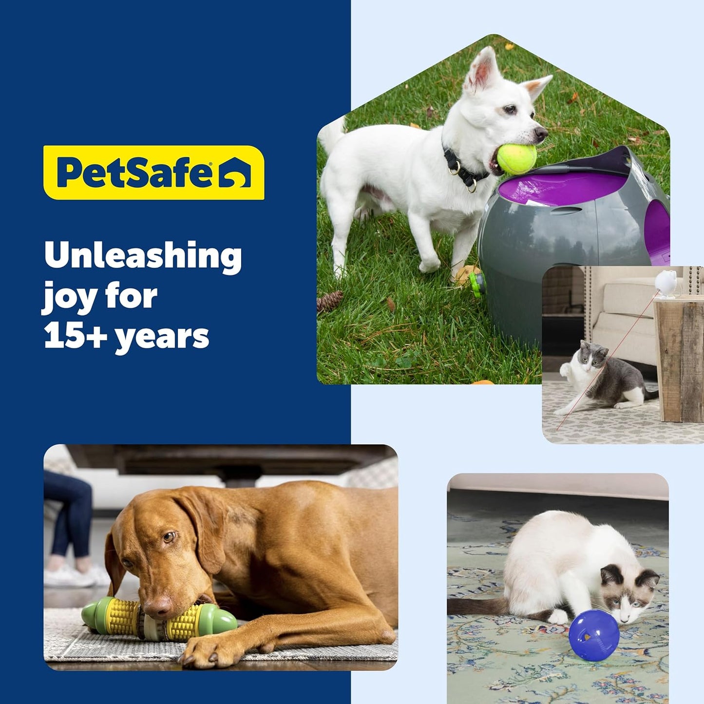 PetSafe Busy Buddy Bristle Bone - Chew Toy for Dogs - Boredom Relief & Dental Care - Durable Nylon Build with Rubber Nubs - Includes Treat Ring Refills - Dishwasher Safe Design