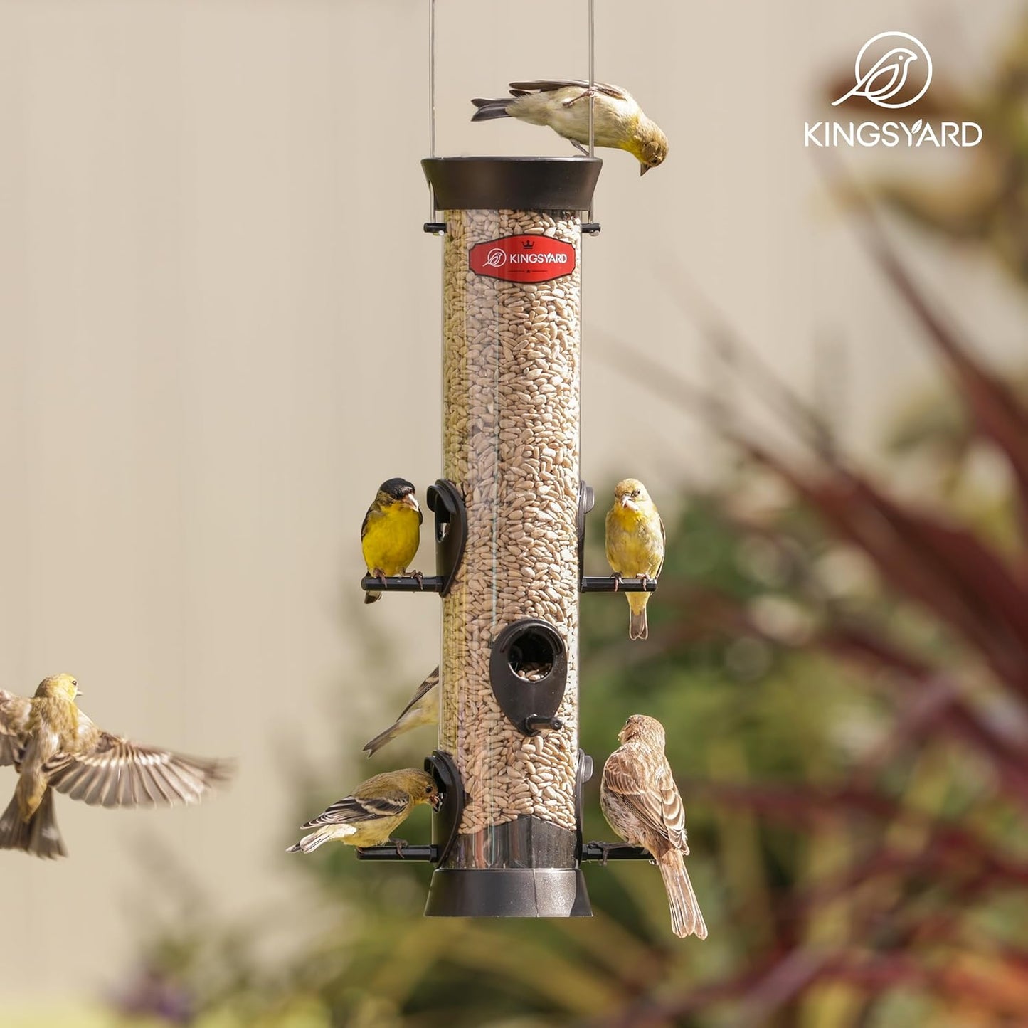 Kingsyard 2 Pack Tube Bird Feeders for Outdoors Hanging, Wild Bird Feeder with 6 Feeding Ports, Easy to Clean & Refill, 2 lbs Seed Capacity, Great for Attracting Finches, Cardinals (Black)
