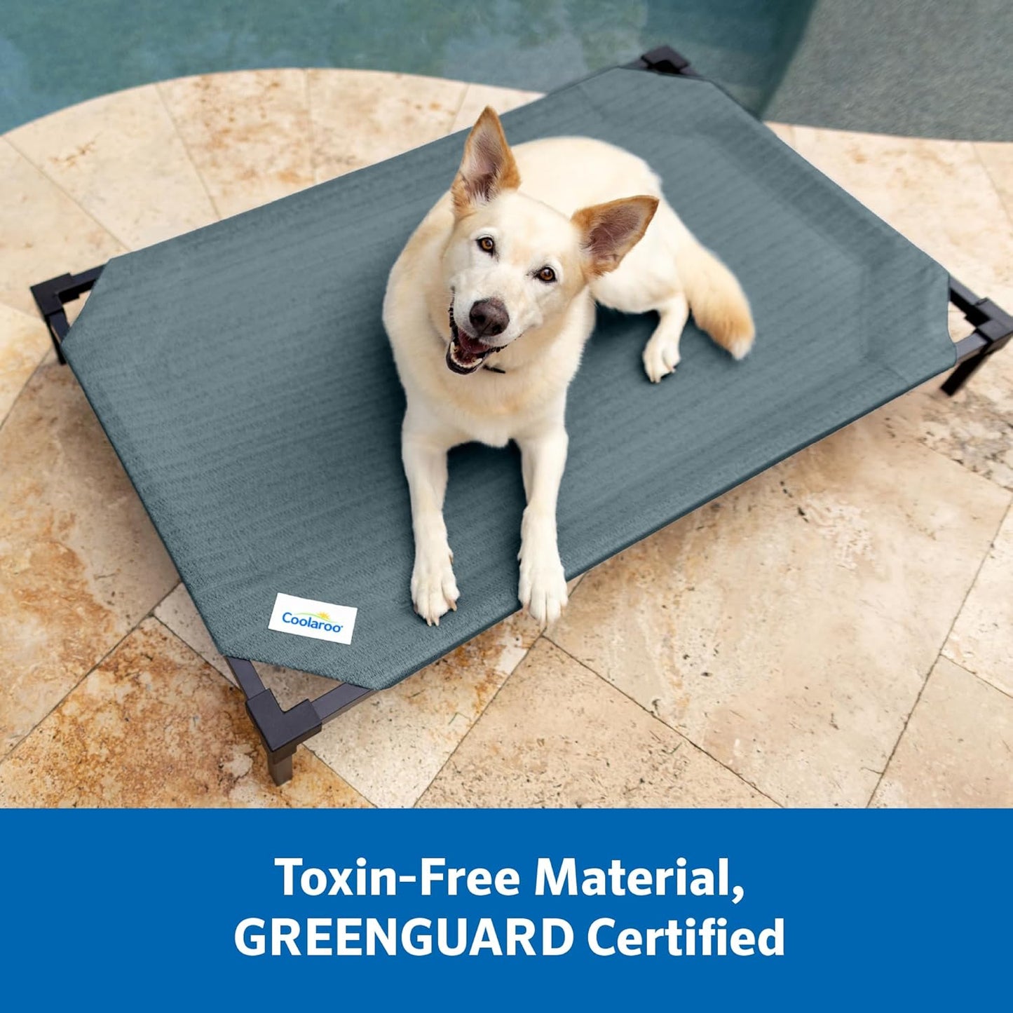 Coolaroo Pro Elevated Dog Bed with HeatShield Fabric – Advanced Cooling Raised Cot for Medium & Large Breeds, Easy-Clean, Low-to-Ground Access, Bonus Bolster Pillow – Glacier Grey