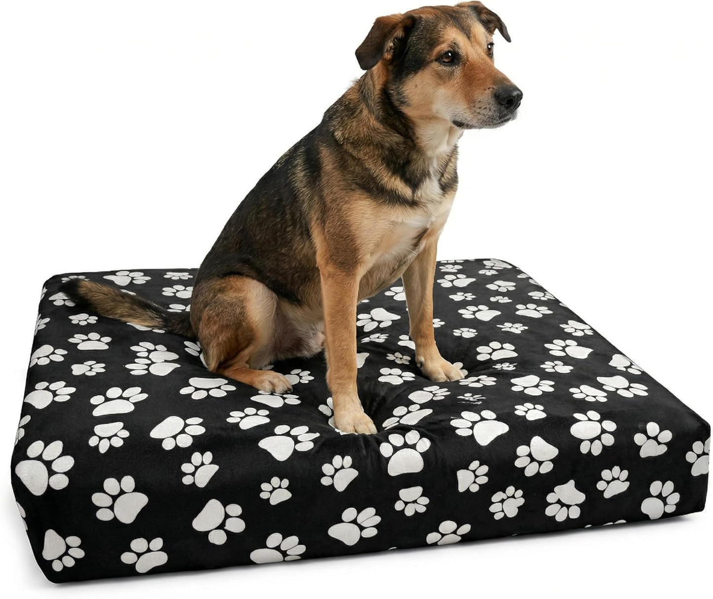 DUKE&LEFTY Furever Dog Bed Slipcover-Stretchy Soft Petbed Cover-Universal-Easy to Remove (Zipper Free)-Black-Medium