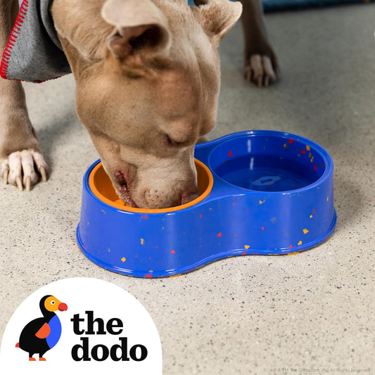 The Dodo Bamboo Double Diner Bowl, Blue & Yellow; Cute Dog Dish; Double Dish for Dogs, Dog Double Bowls