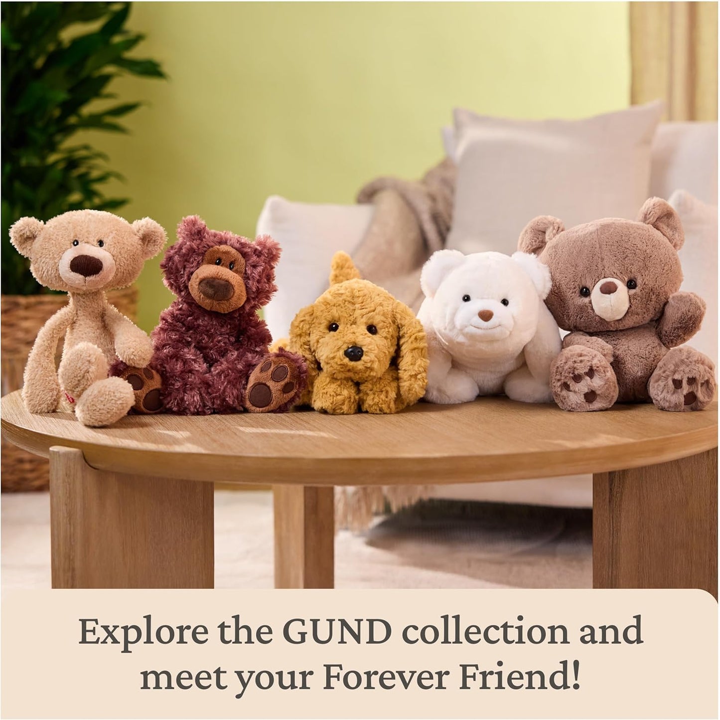 GUND Forever Friends: Philbin Classic Teddy Bear, As Seen on The View, Premium Stuffed Animal for Ages 0 and Up, Chocolate Brown, 12”