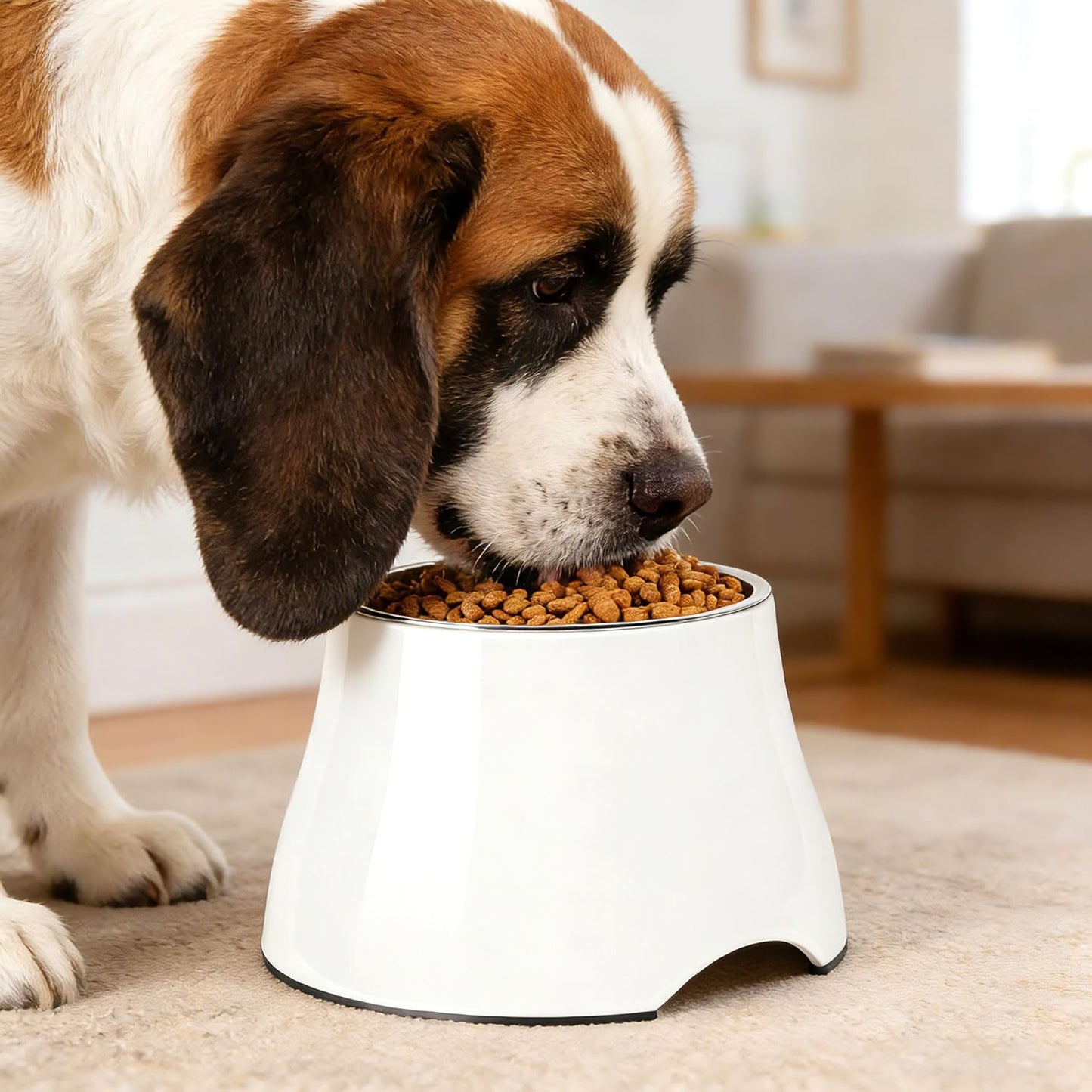 Dog Bowls,Cone Friendly Non Slip Single Dog Bowl with Stainless Steel Inner, Raised Bowls for Small Dogs Spaniel Dogs Long Ear, High Capacity, M/2 Cup White