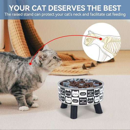 2PCS Elevated Cat Bowls with Slow Feeder, Wide Raised Stainless Steel Cat Dishes Plastic Stand Silicone Slow Food Dispenser, Whisker Friendly Pet Water Food Plates Feeding Station Indoor Cats, Kitten