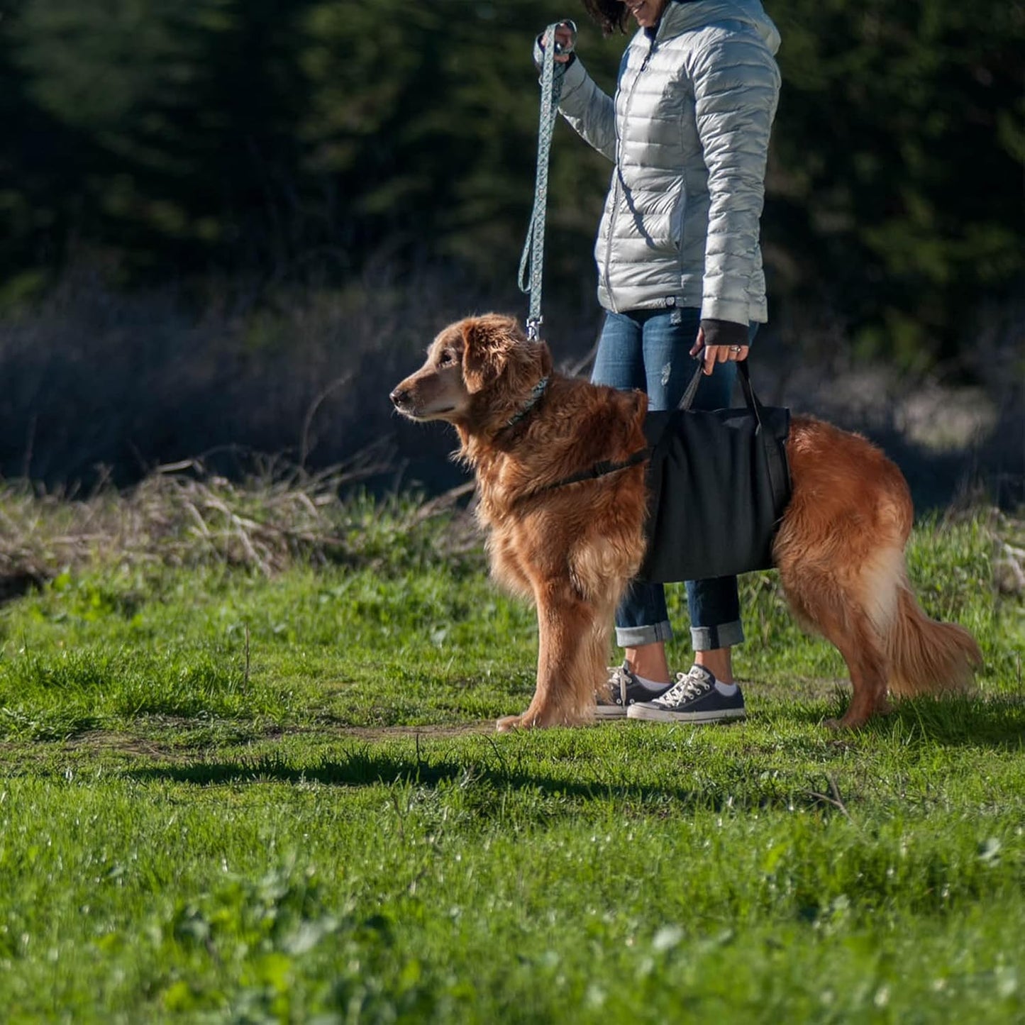Walkabelly Support Sling, Easy-to-Use Belly Harness for Daily Mobility, Stop Straining to Lift Your Pet, Quick-Lift Original Design by Walkabout Harnesses (MedLarge Walkabelly)