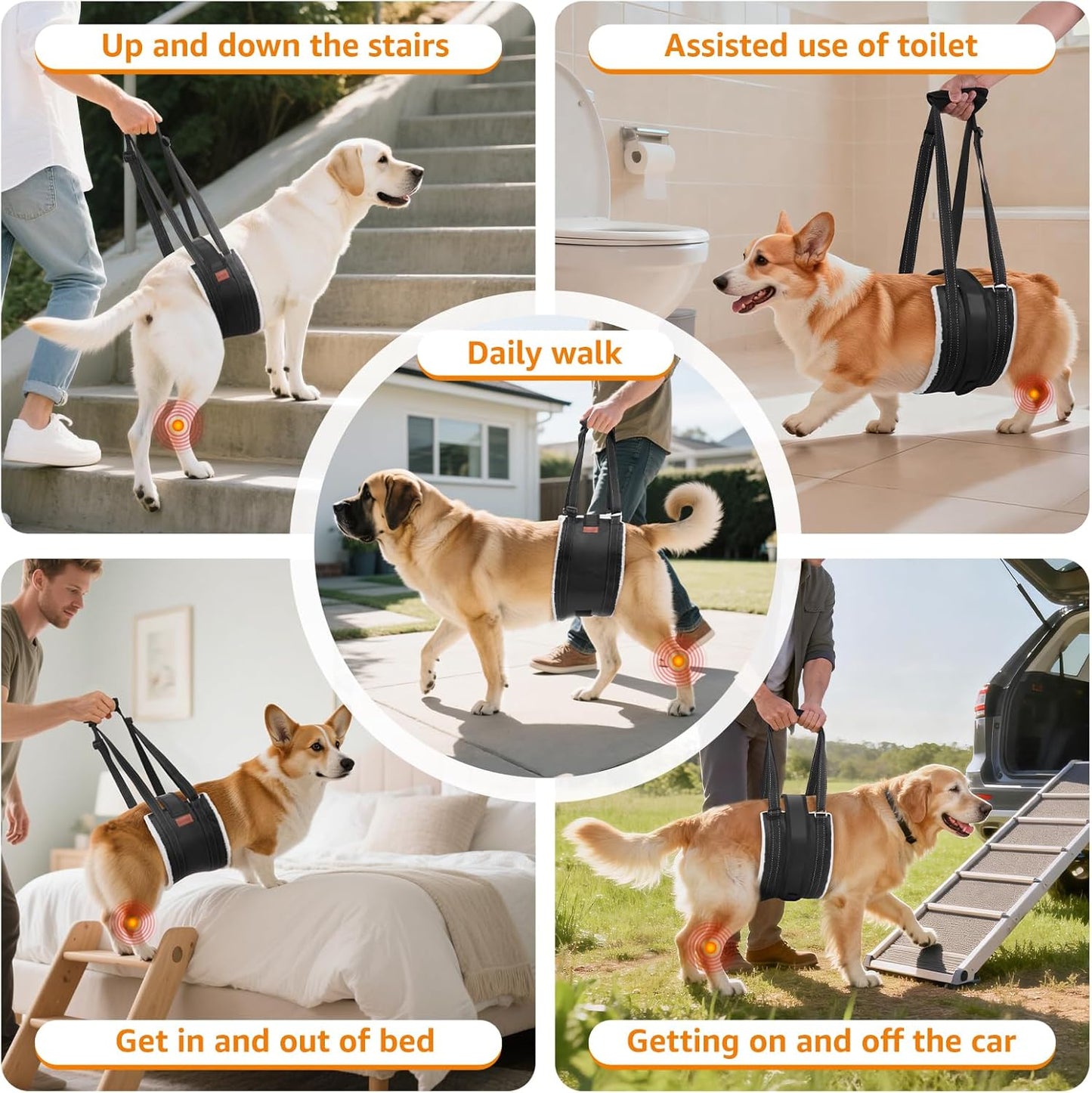 LOOBANI Dog Lift Harness for Back Legs, Portable Dog Sling for Large Dogs Hind Leg Support, Comfortable Leg Support Assistance for Elderly Dogs with Hip, ACL Brace, Senior, Injured