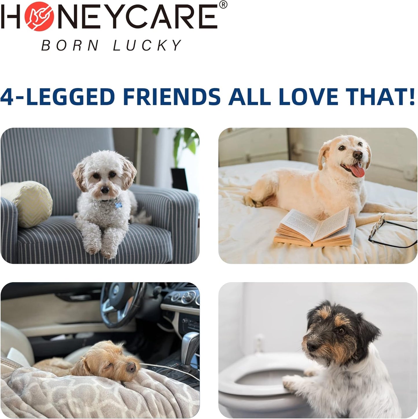 HONEY CARE Washable Dog Pee Pads 34" x 35", Reusable Training Pads for Dogs, Washable Waterproof Training Pads for Dogs, Whelping & Seniors Incontinence Pads (1 Pack - 34x35)