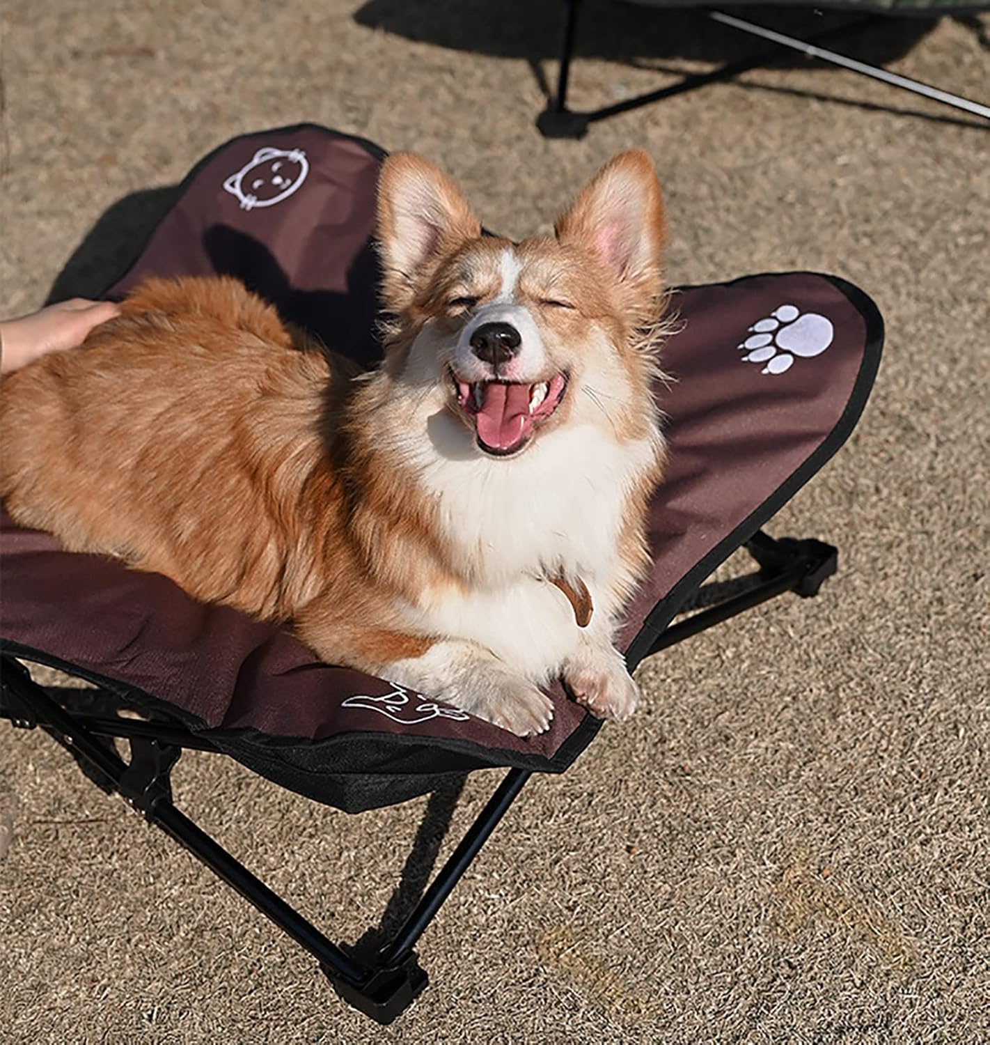 Pet Bed Portable Removable Cooling Raised Pet Cot with Breathable Fabric, Orthopedic Joint Relief Off Ground Cooling Hammock, for Older Small Dogs (Color : Black) (Red)