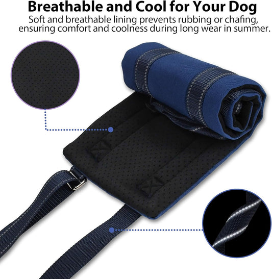 AIITLE Dog Lift Harness - Adjustable Mesh Sling with Reflective Strips & Padded Handles, Mobility Aid for Hip Dysplasia, CCL Surgery, Elderly Dogs (M, Navy-Blue)