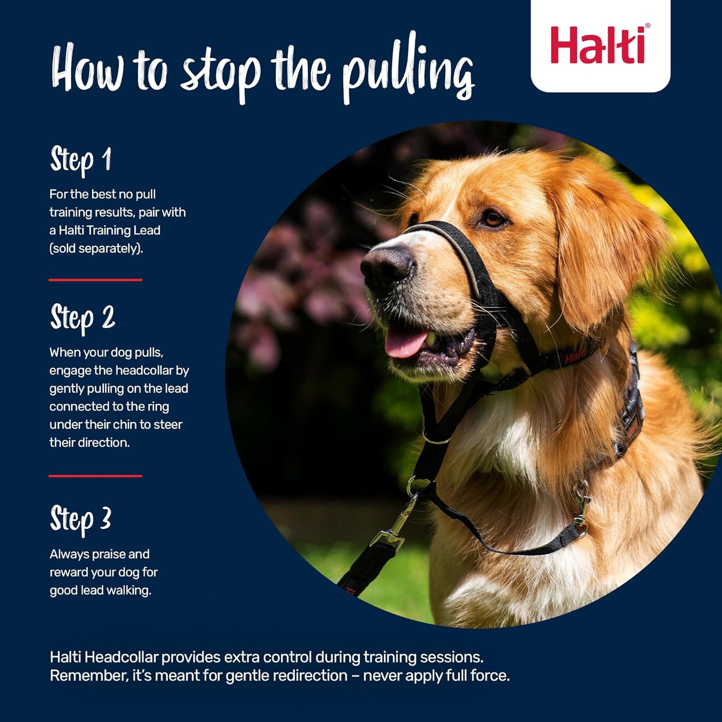 Halti Headcollar - Stop Your Dog Pulling on the Leash. Adjustable, Reflective and Lightweight, with Padded Nose Band. Dog Training Anti-Pull Collar for Medium Dogs (Size 3, Black)