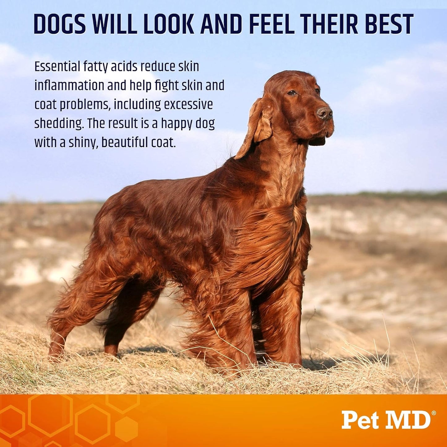 Pet MD Ear Wipes and Salmon Omega Bites
