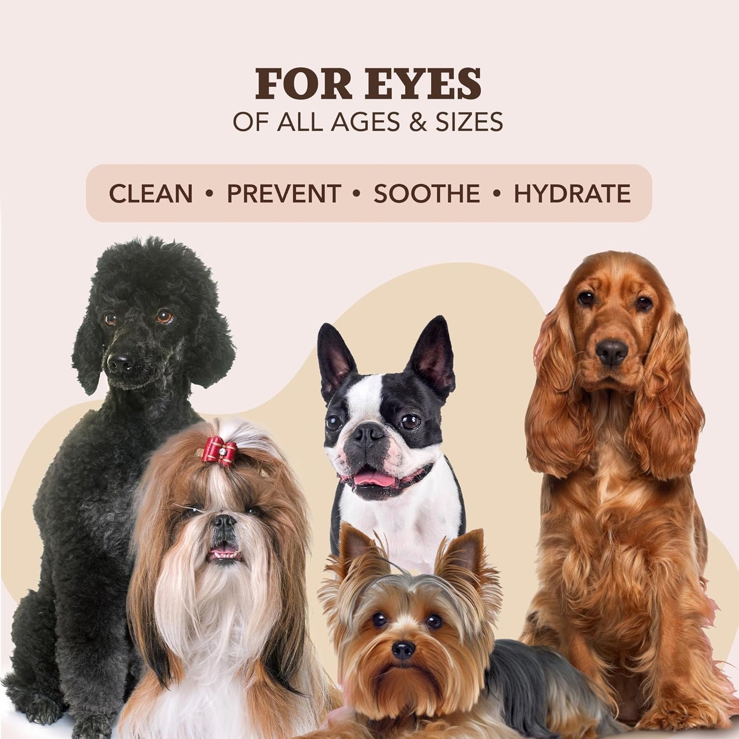 Natural Dog Paw Wipes -50 Ct- Organic, Vegan Pet Paw Wipes for Dogs, Eco-Friendly Dog Paw Wipes for Dogs, Ideal for Removing Dirt, Allergens & Moisturizes Dry Cracked Paws, Coconut Oil & Cocoa Butter