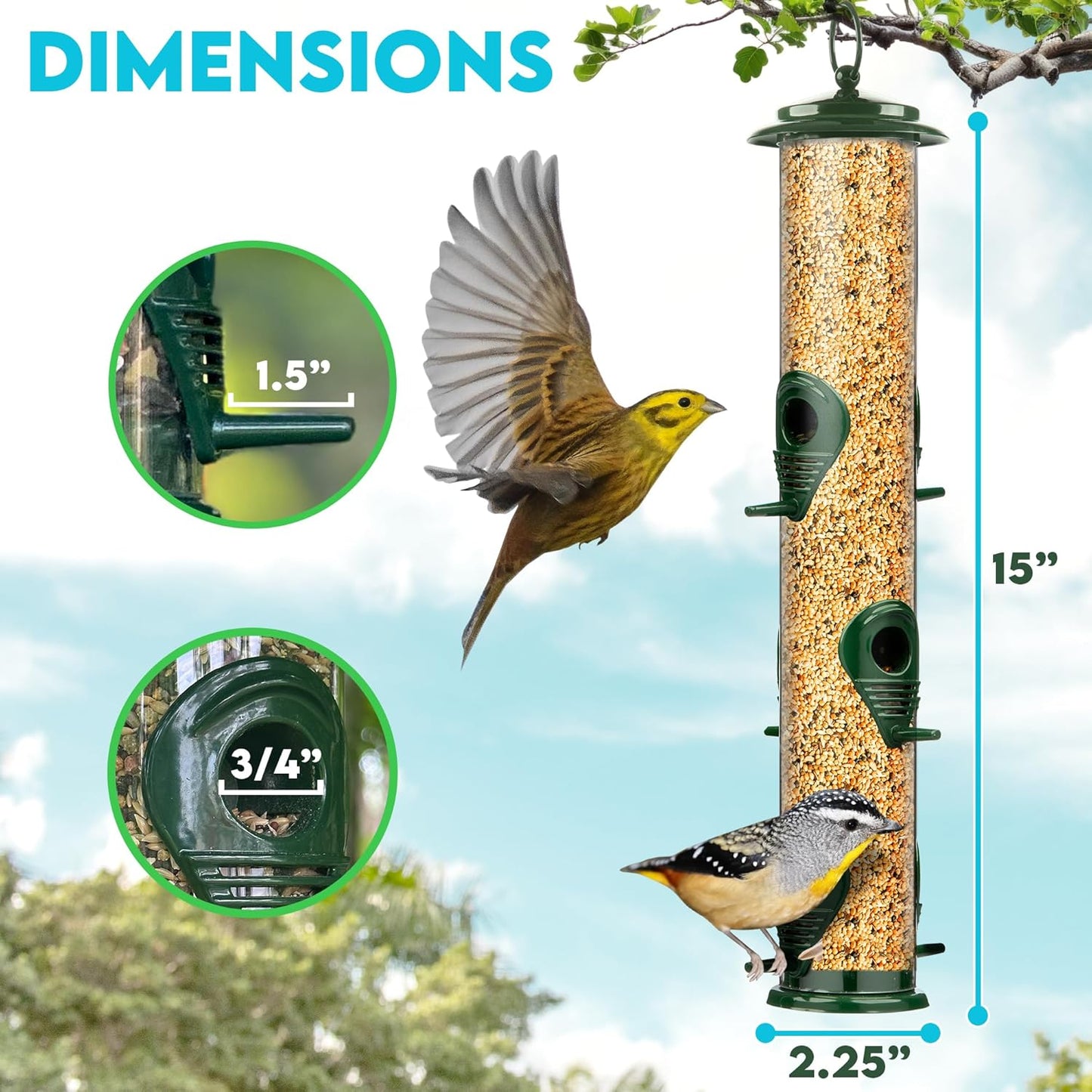 Bird Feeders for Outdoors (Green) Squirrel Proof Hanging Bird Feeder with Locking Lid & Adjustable Hanger, Chew-Proof, Weather Resistant 15 Inches 6 Port