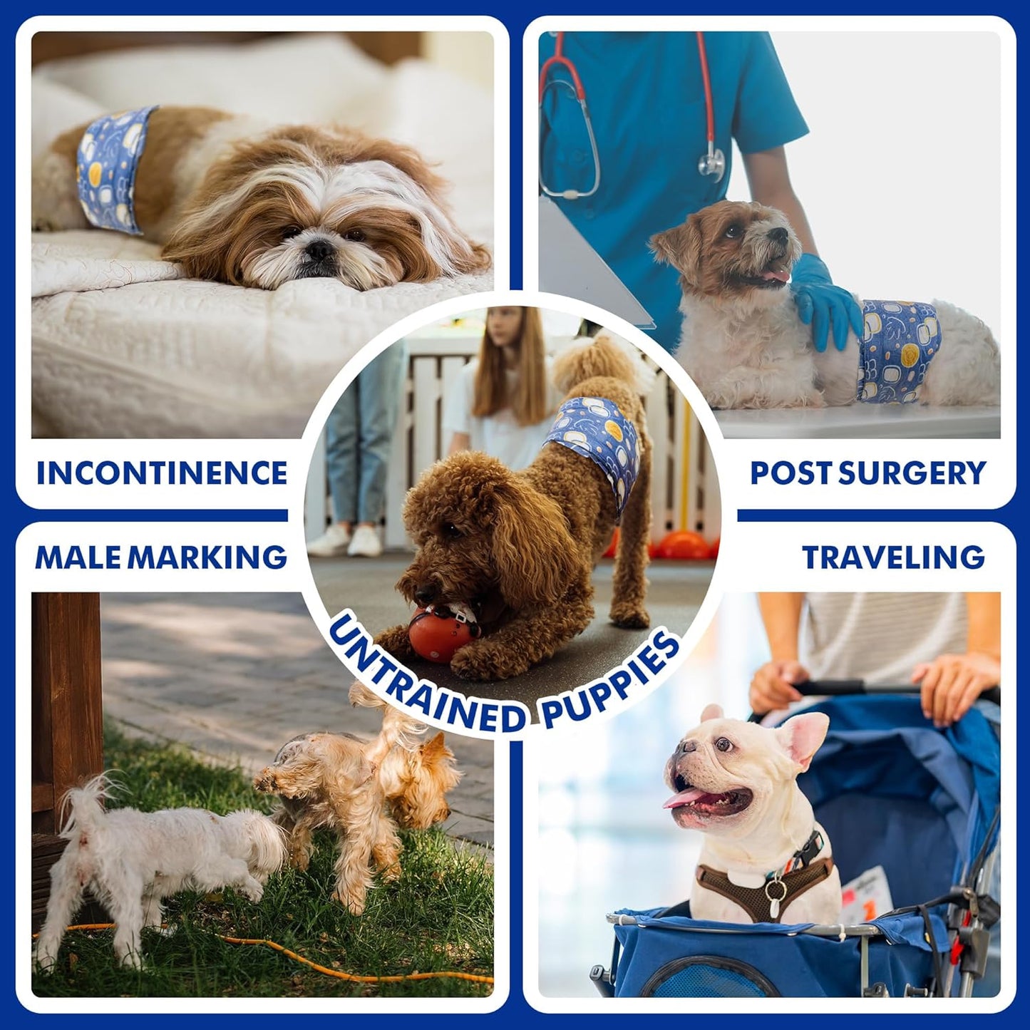 MICOOYO Male Dog Diapers, Disposable Male Dog Wraps with Wetness Indicator, Super Absorbent | Leak Proof Doggie Diapers for Incontinence, Marking, Puppy Training, XS, 6-13-inch Waist, 20 Counts