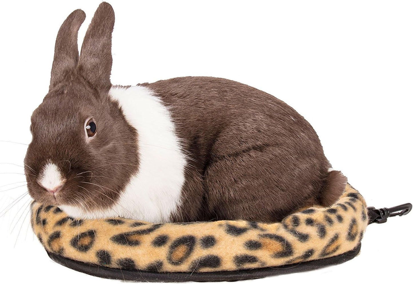 Ware Manufacturing (2 Pack) Safari Sleeper Beds for Small Animals, Medium - Colors May Vary