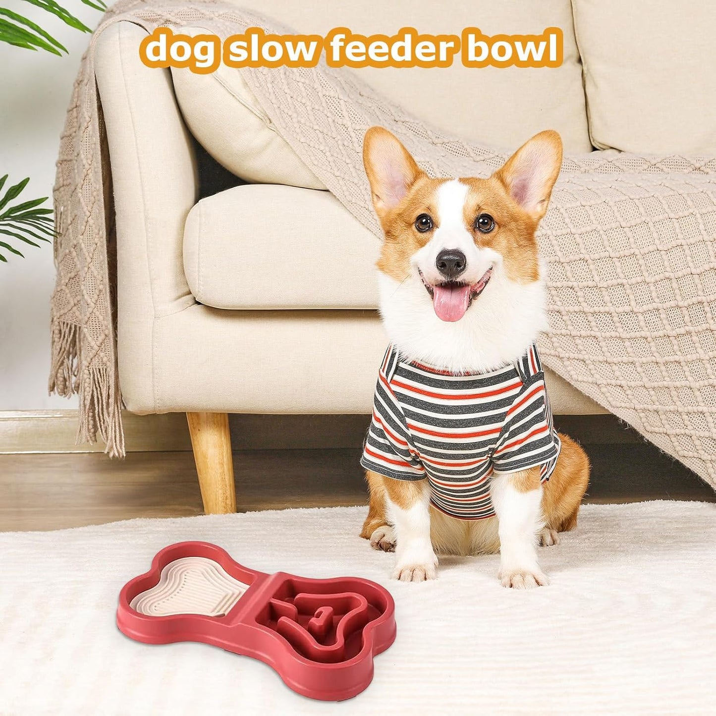 Dog Food Bowls - Puppy Feeder, Gentle Puzzle, Feeding Supplies with Durable Feature, Portable Dish with Practical Detail, Bowl, Pet Home Travel Indoor Outdoor for Training Eating