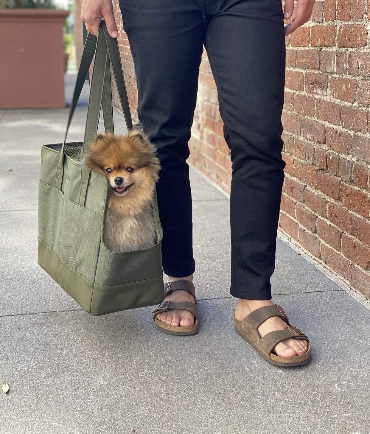 OSKAR&FRIENDS Pet Carrier Tote for Small Dogs & Cats – Vegan Leather Dog Purse with Breathable Mesh, Sherpa Bed & Safety Tether – Fits Pets Up to 20 lbs