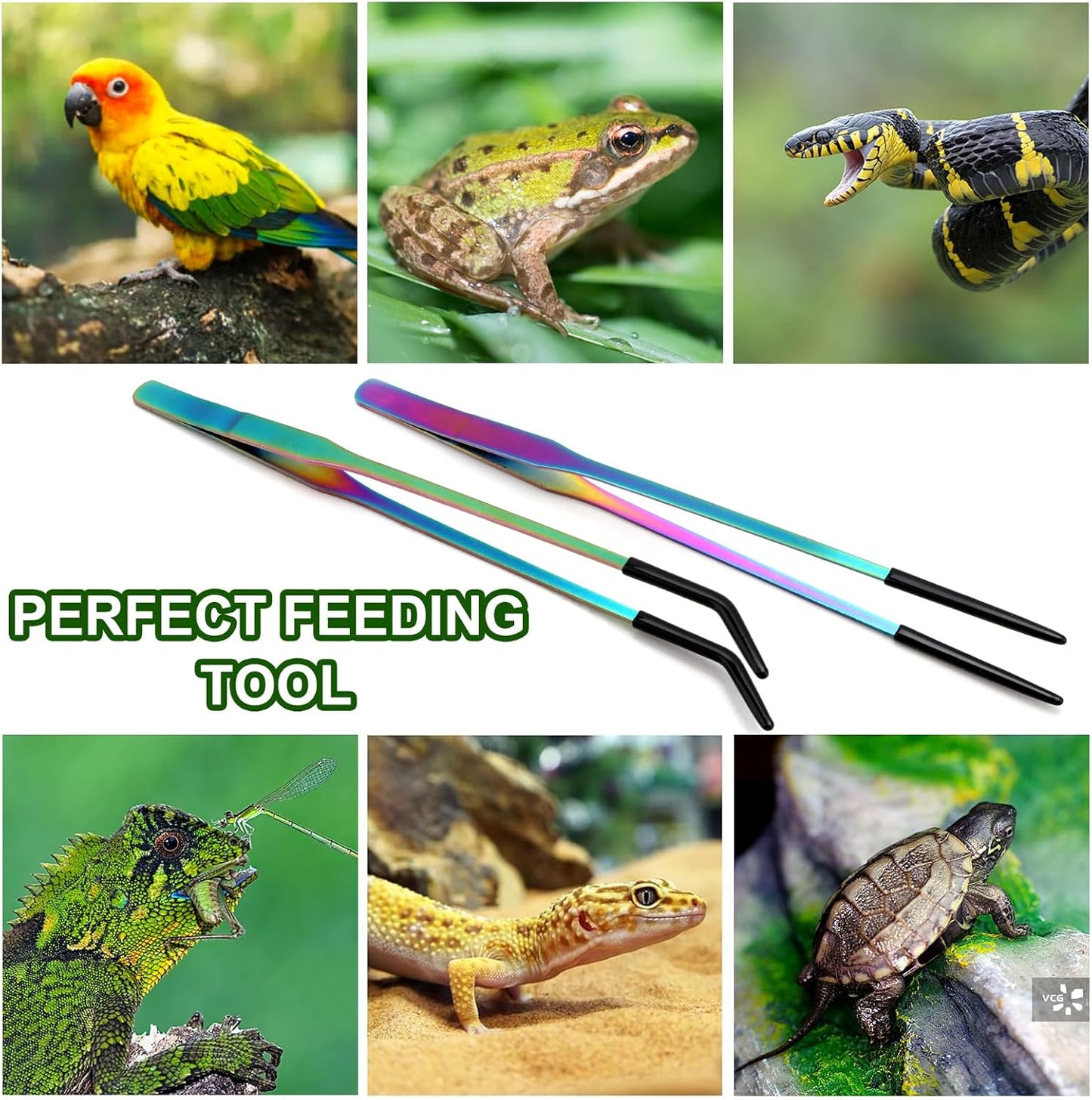 OLIISS Stainless Steel Reptile Feeding Tongs with Rubber Tip - 10.6" Straight & Curved Tweezers for Aquariums & Crafts - Feeder Tools for Bearded Dragons & Lizards - Terrarium Tank Supplies - 2 Pack