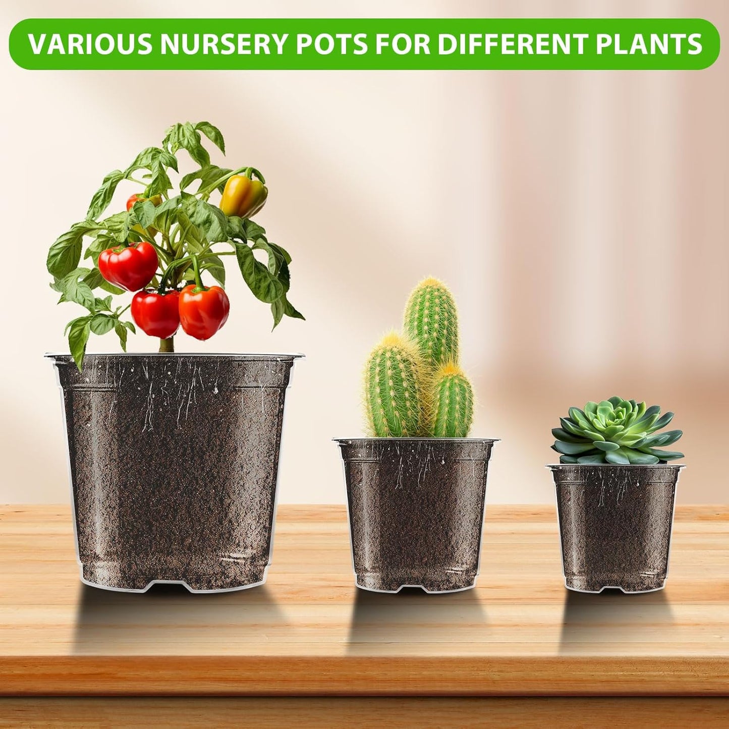 Clear Nursery Pots 5/4/3.5 Inch Plastic Seedling Plant Pot with Drainage Holes for Transplanting Succulents Cuttings (15Pcs)