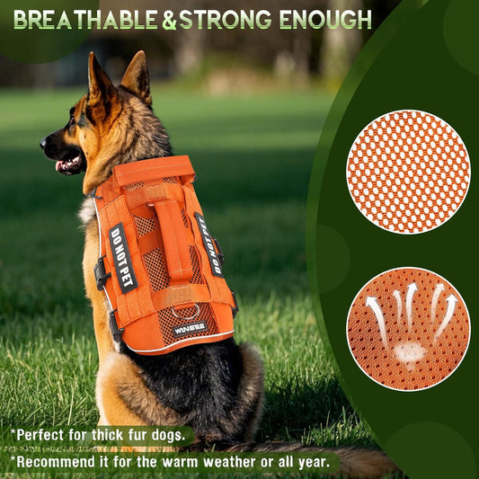 WINSEE Mesh Dog Harness with 10 Pet Patches for Small Service Dog in Training, Breathable Tactical Molle Vest with Double Handle, Reflective Military Pet Vest for Walking Hiking