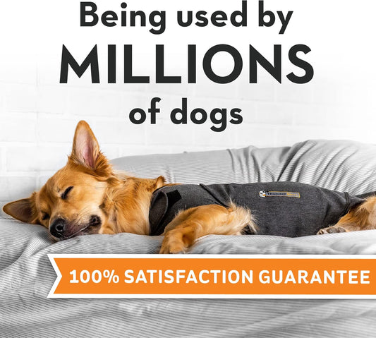 ThunderShirt for Dogs, Large, Heather Gray Classic - Dog Anxiety Relief Calming Vest