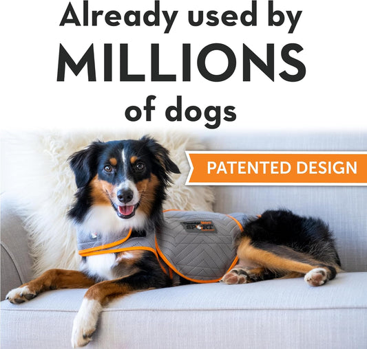 ThunderShirt for Dogs, Large, Platinum Sport - Dog Anxiety Relief Calming Vest