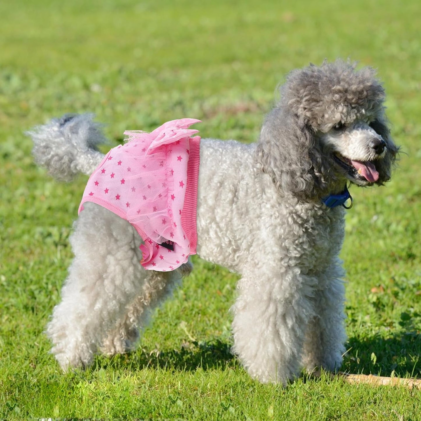 Milisten Pet Dog Period Pants Female Sanitary Diaper Panties Washable Lace Puppy Physiological Pants with Bow Pink M Size for Female Dogs in Heat
