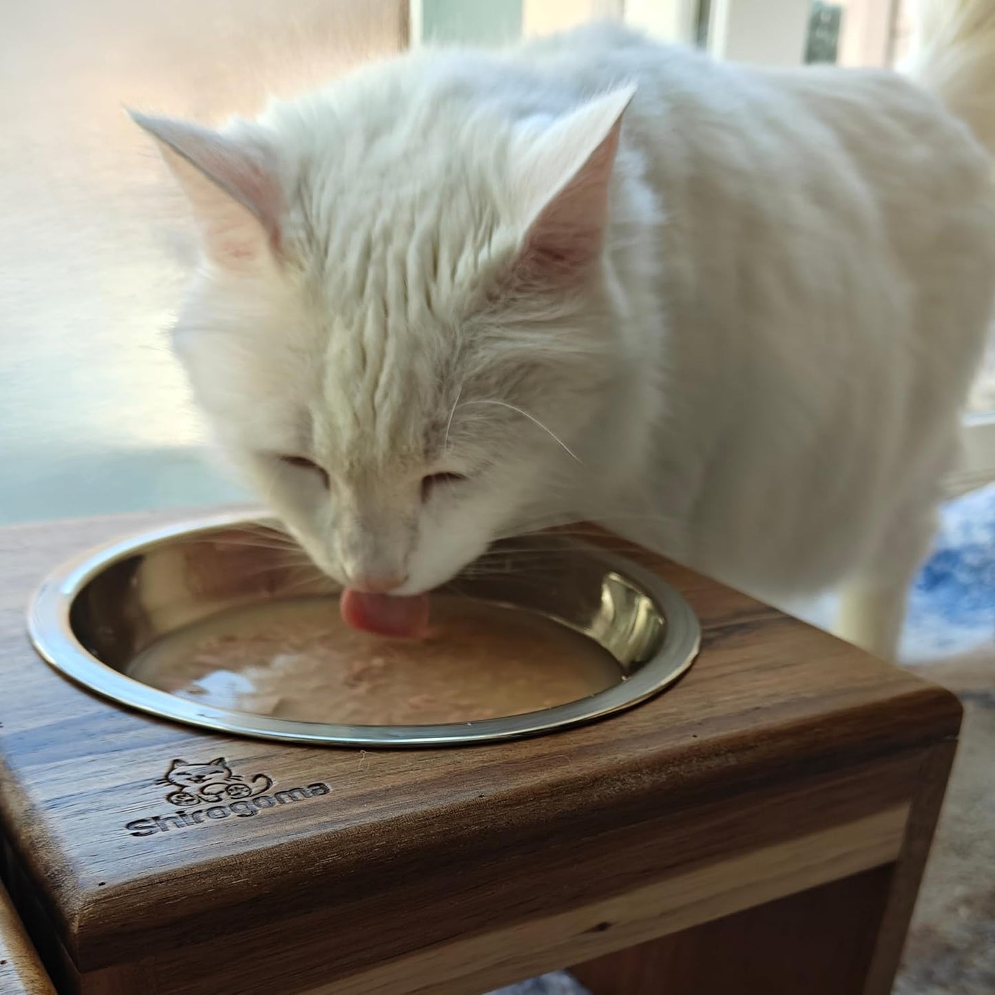 Raised Cat Bowls, 6.25 in wide, 6" Elevated Cat Feeding Stand (with 2 Stainless Steel Bowls: 12 oz/1.5 cup), Small Dogs, Rabbits, Anti-Vomit, Whisker friendly, 6 x 8 x 8 in, Acacia Wood