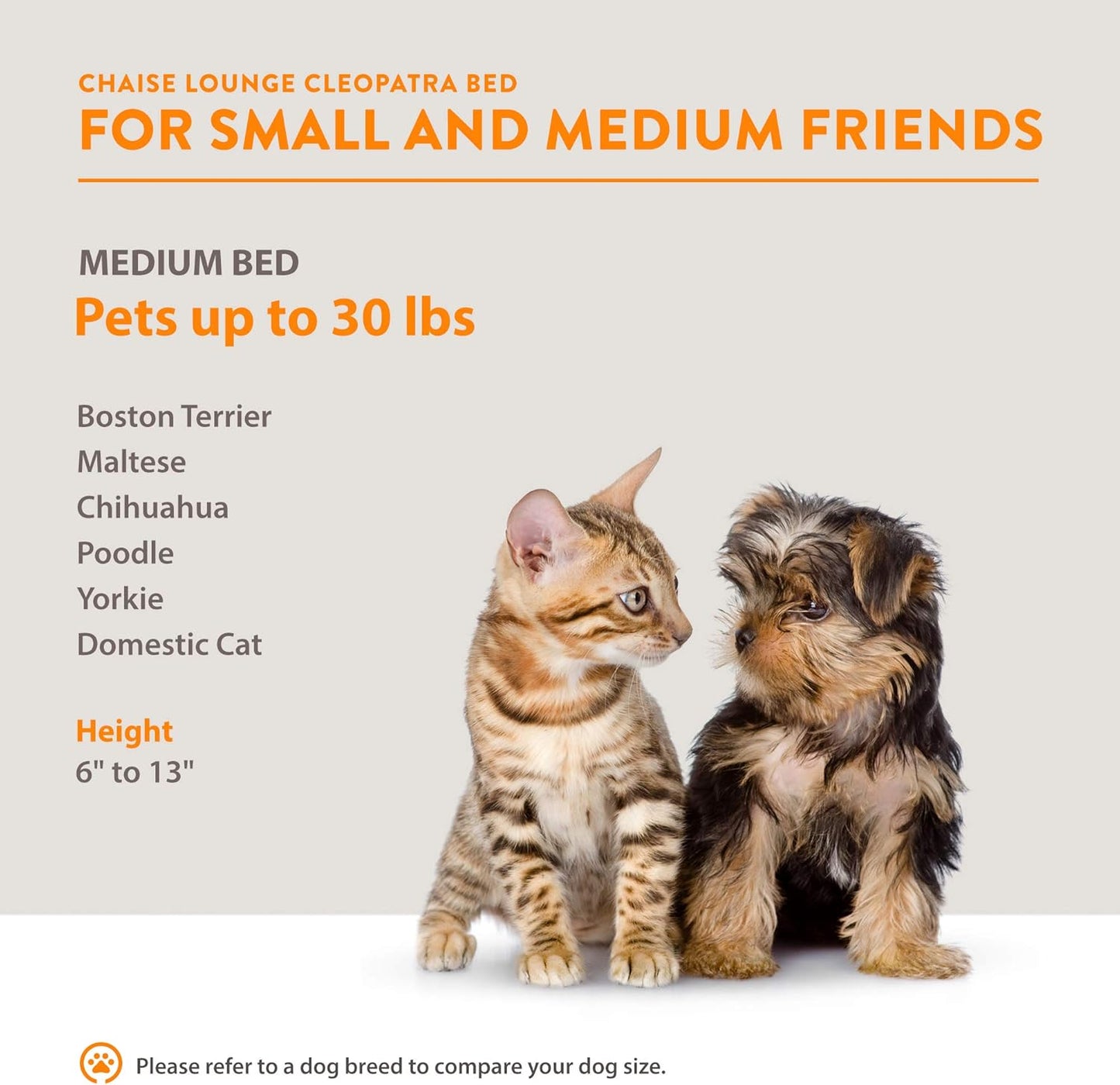 Moots Cleopatra Chaise Lounge Pet Bed, Metallic Gold, Medium, for Dogs and Cats All Medium and Small Breeds