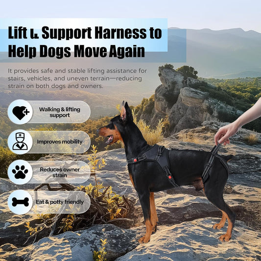 Multi-Functional Dog Lift Harness – Full Body Support Vest for Front, Rear, or Whole-Body Lifting – Mobility Aid for Senior, Injured, or Post-Surgery Dogs, Breathable & Washable