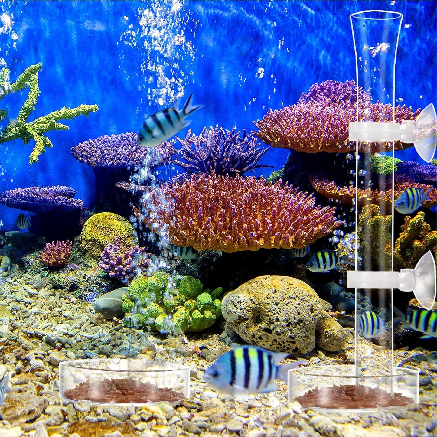 Chengu 3 Pieces Shrimp Feeding Tube and Dish Set, 8 Inch Glass Shrimp Feeder Tube and 2 Aquarium Dish Bowl Fish Tank Feeding Supplies for Fish Tank Aquarium