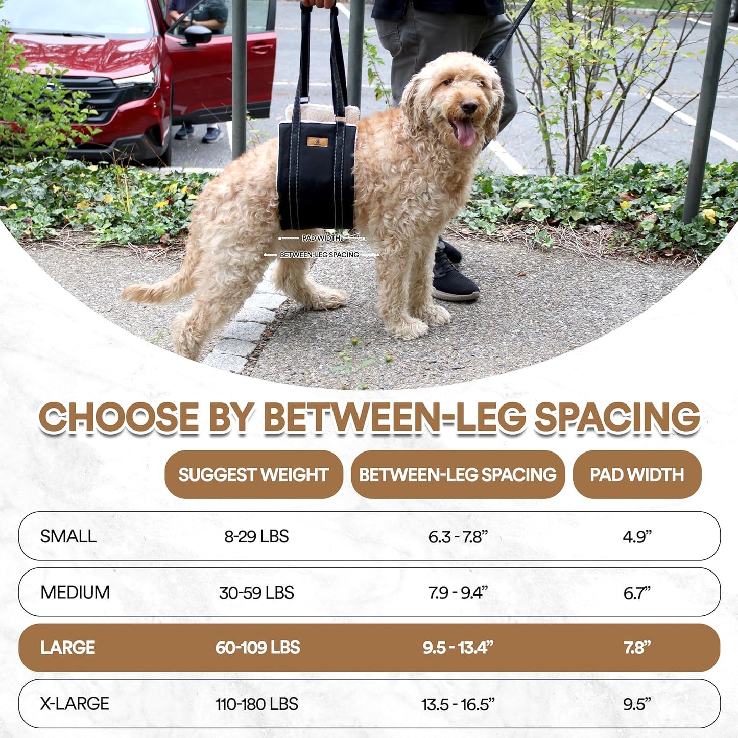 Dog Lift Harness – Adjustable Dog Sling for Large Dogs Hind Leg Support with Handle – Harness for Dogs with Weak Legs, Seniors, Injured, Disabled – Thick Plush Padding (Large)