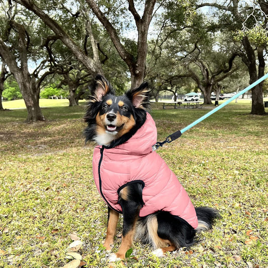 Pawtitas Reversible Dog Puffer Jacket | Water Resistant | Dog Coat for Winter to Keep Your Puppy Warm for Cold Weather Jacket | Light Pink - Black Up Dog Vest for X-Small Breed Dogs - Pouch Included