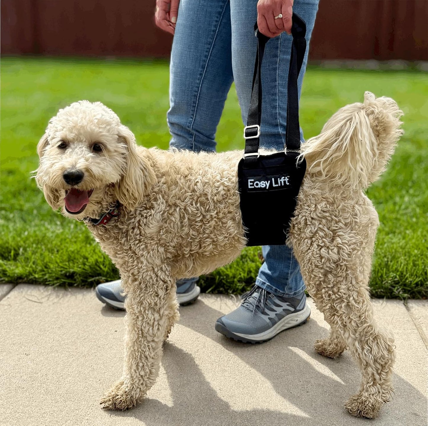 Easy Lift Dog Support Sling, Weak Hind Leg Harness for Injured, Arthritic & Senior Dogs, or Orthopedic Surgery Recovery & Rehabilitation, Machine Wash & Dry, Padded for Comfort, Help Up Stairs