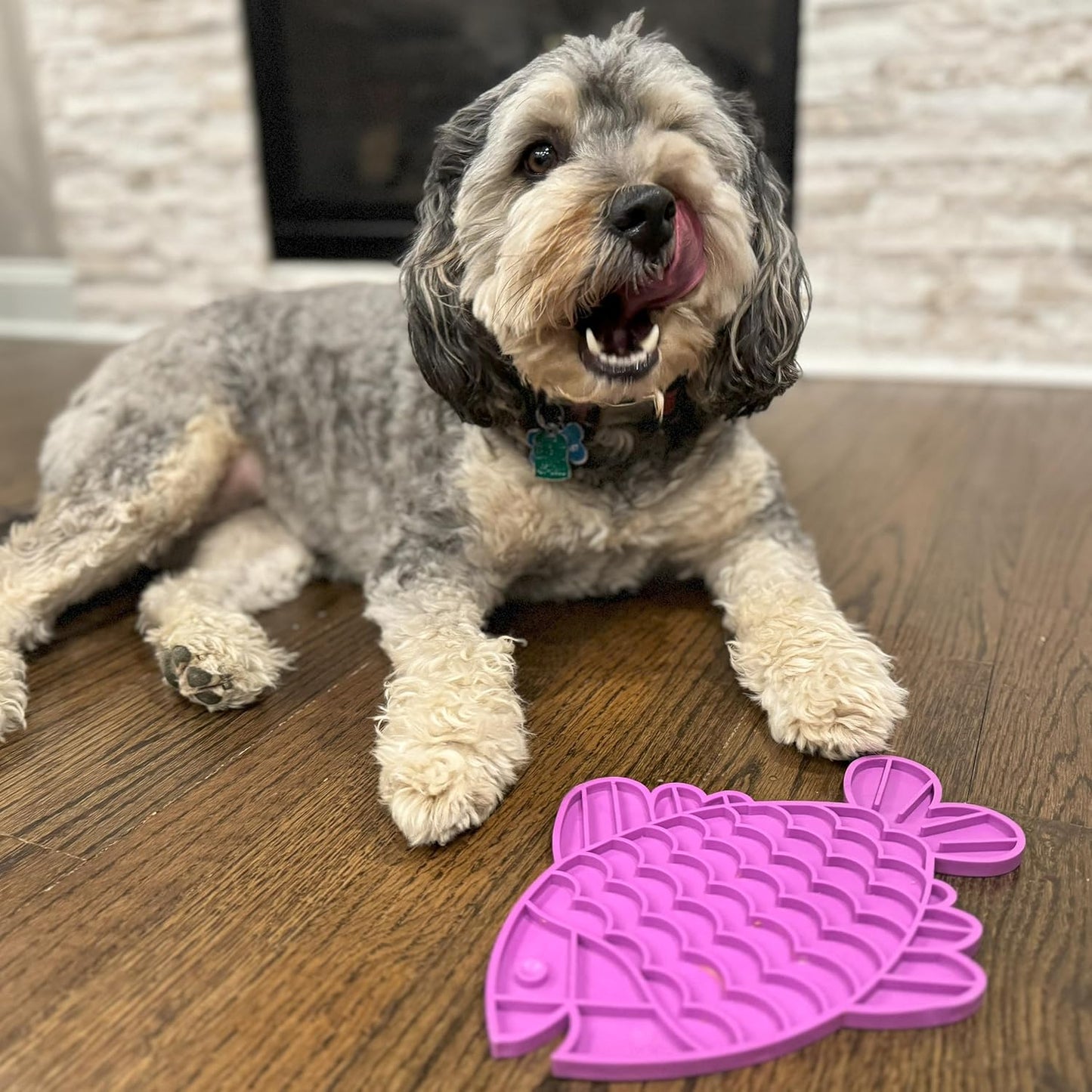 SPOT Soother Lick Mat-Licking Mat for Cats, Kittens, Medium and Large Dogs and Puppies, Food Grade Rubber, Anxiety Reliever, Dog Peanut Butter Lick Pad, Slow Feeder, 9.75inch, Fish