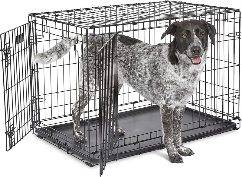 MidWest Homes for Pets 36-Inch iCrate for Medium-Large Breeds, 41-70 lbs, Double Door Folding Dog Crate with Divider Panel, Leak-Proof Tray & Secure Latches, Portable, Durable & Easy to Assemble
