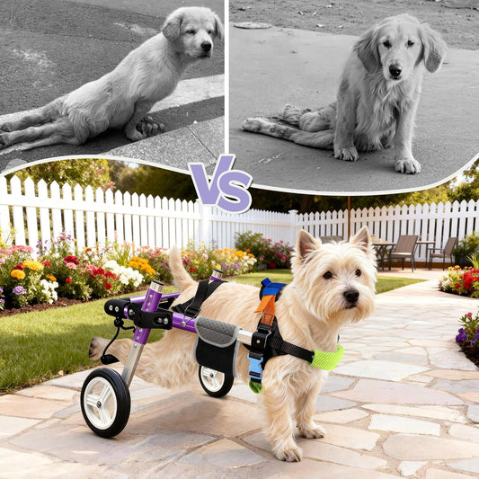 Dog Support Wheelchair for Back Legs Adjustable Dog Mobility Cart for Hind Legs Support Cart for Injured or Paralyzed Dogs