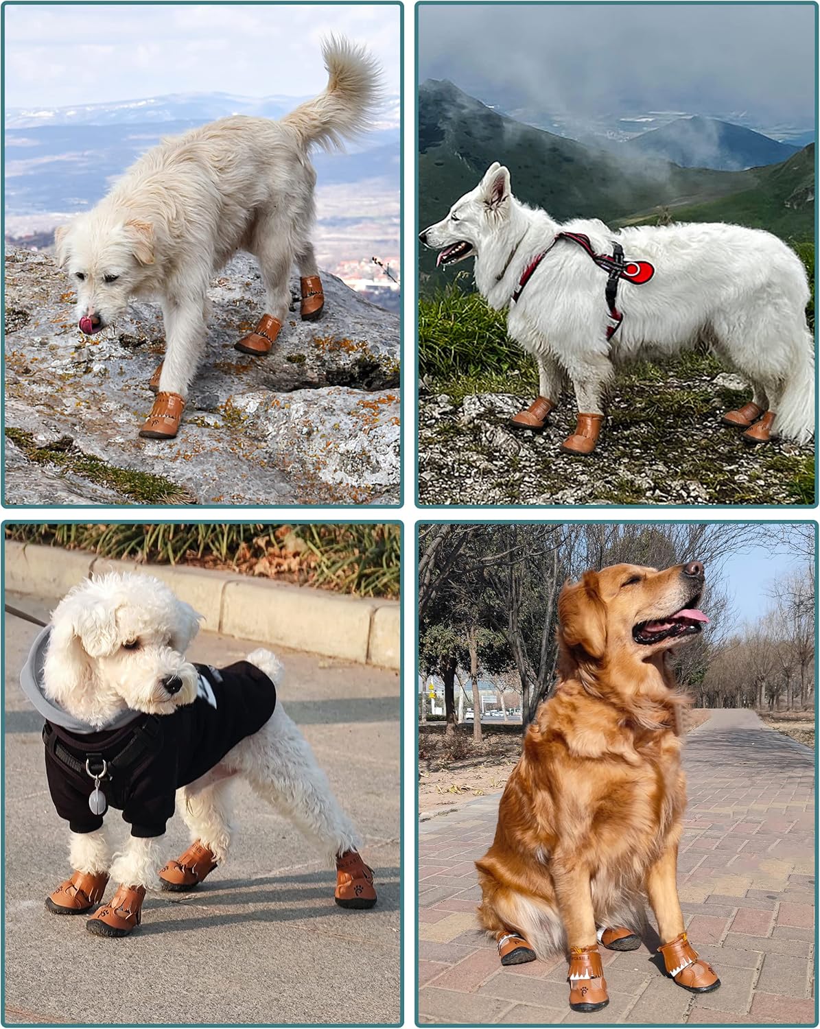 Dog Booties & Paw Protectors - Shoes for Small, Medium & Large Dogs - Snow & Rain Boots - Winter & Summer, Size 5