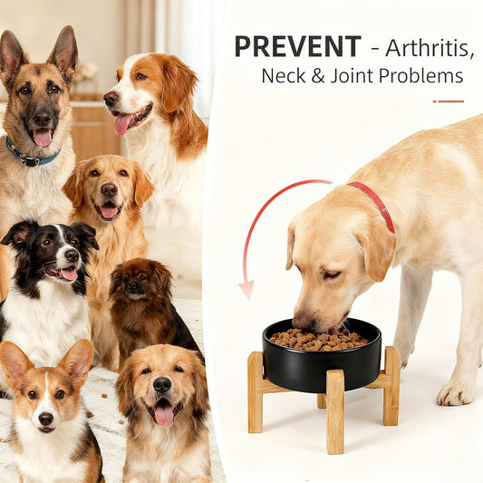 Elevated/Raised Ceramic Dog Bowl with Bamboo Stand,6 Inch 3.6 Cups Non Slip Heavy Weighted Single Pet Dish, for Small Medium Breed & Cats,Reduces Neck Strain Black