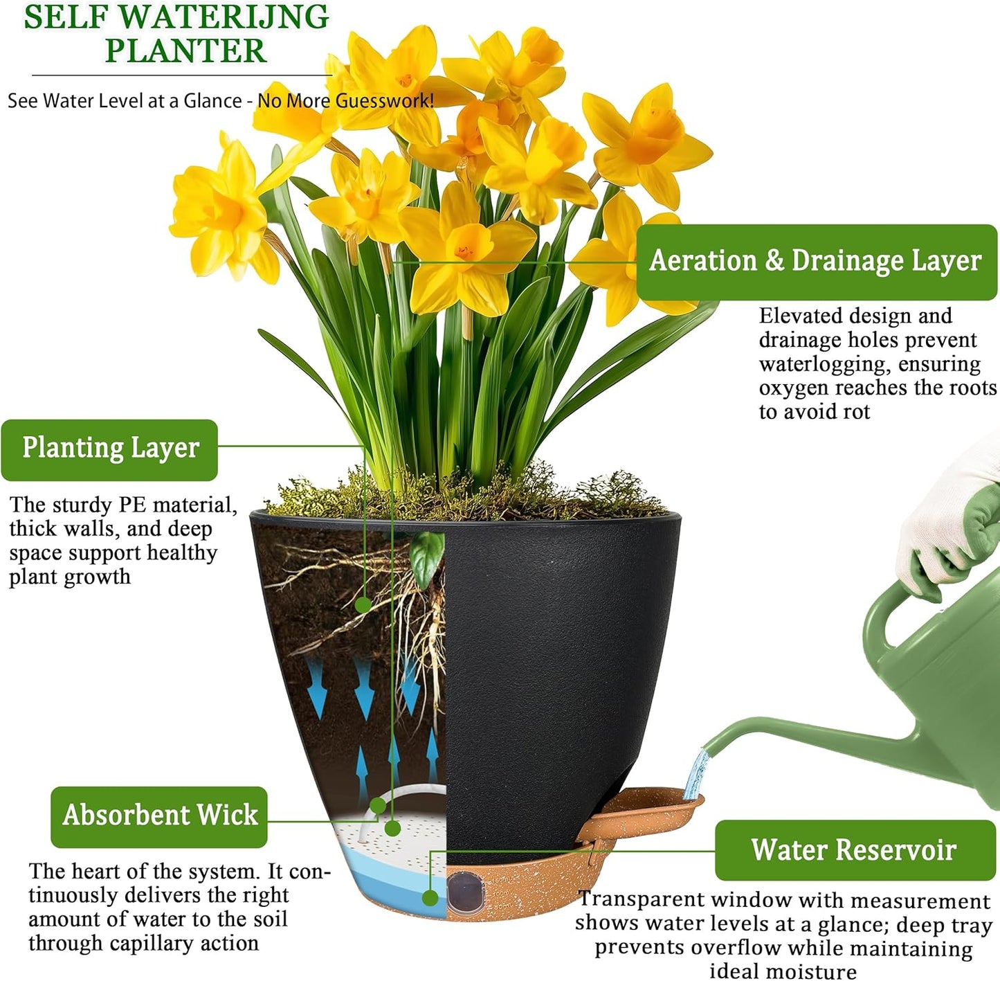 6 Inch Self Watering Pots for Indoor Plants (5-Pack) β Small Plastic Planters with Water Window, Drainage Holes & Trays, Indoor Outdoor Flower Pots for Herbs, Succulents, Home Garden Decor (Black)