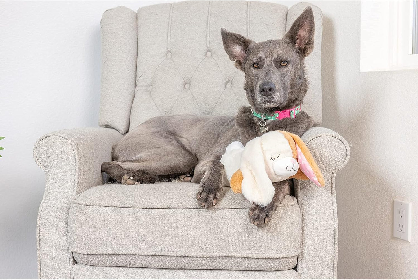Downtown Pet Supply Heartbeat Puppy Toy with Pulse - Stuffed Rabbit Comfort Toy for Anxious Dogs with Removable Heartbeat - Puppy Heartbeat Toy Sleep Aid for Small, Medium, and Large Breeds, 12" Long